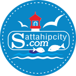 logo-small-footer-sattahipcity-2022.png