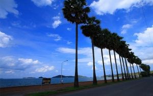 หาดดงตาล สัตหีบ